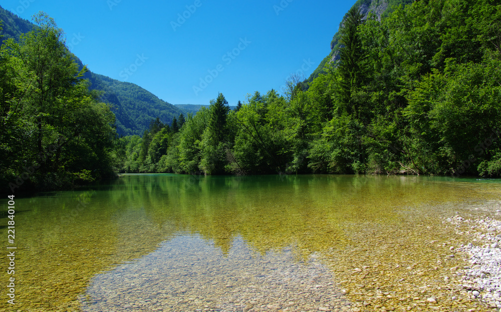 Naklejka forest and river