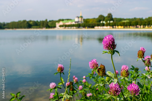 Red clover against a blurred view of Kuskovo palace in Moscow, Russia