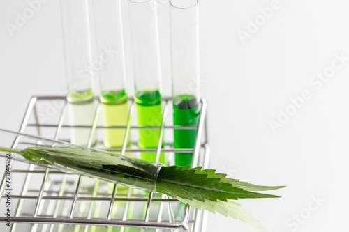 Background of Cannabis (Drugs), Analysis of Cannabis in laboratory. © sinhyu
