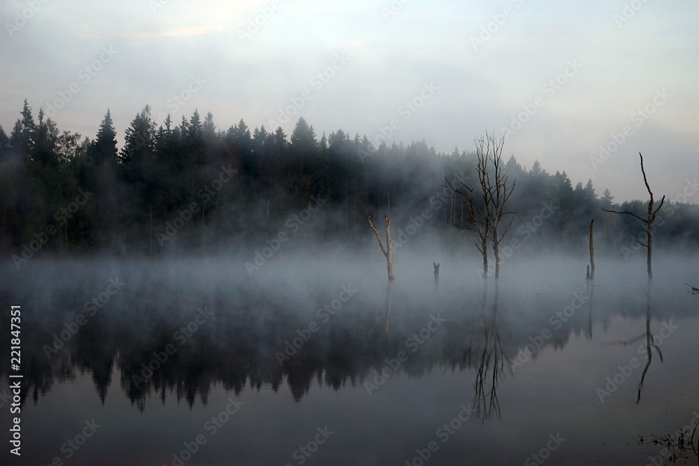 Fototapeta premium Morning lake