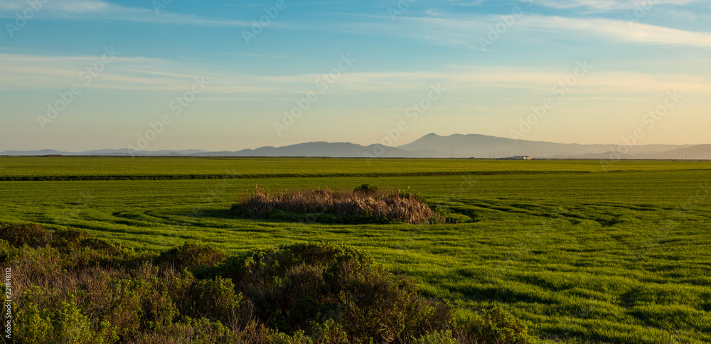 View off Highway 38 near Sears Point in California
