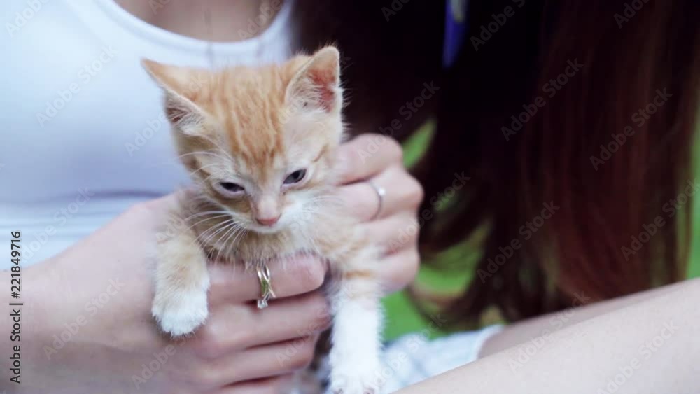 little red cute kitten playing with brunette girl in a park little red cute kitten playing with brunette girl in a park
