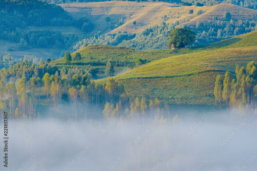 Obraz premium Landscape from Transylvania - Dumesti, Romania