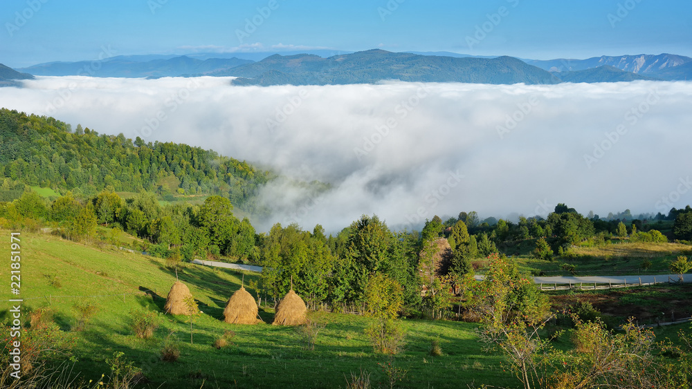 Obraz premium Landscape from Transylvania - Dumesti, Salciua - Romania