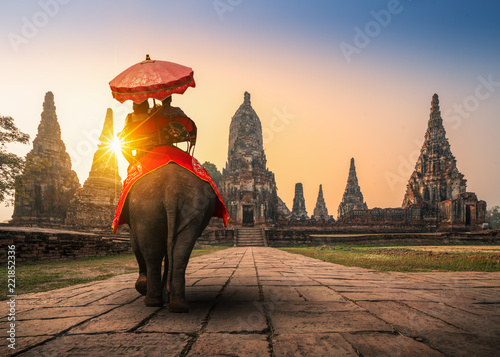 Tourists With an Elephant at Wat Chaiwatthanaram temple in Ayutthaya Historical Park, a UNESCO world heritage site in Thailand © sutthinon602