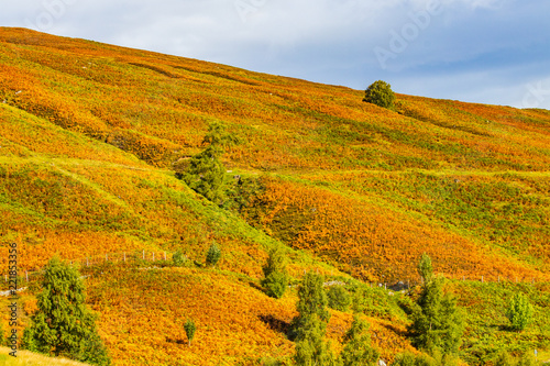 The autumn hills of Balmore