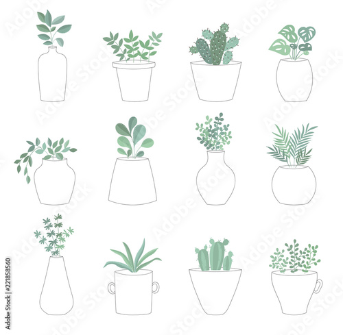 Vector collection of cute house plants in flower pots.