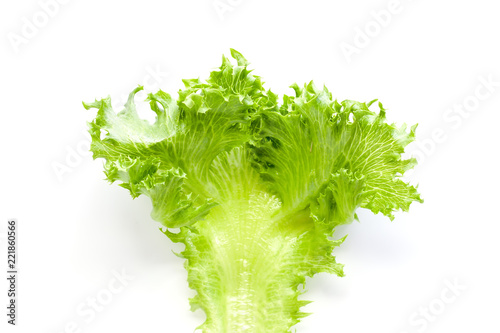Lettuce - ingredient of sal...