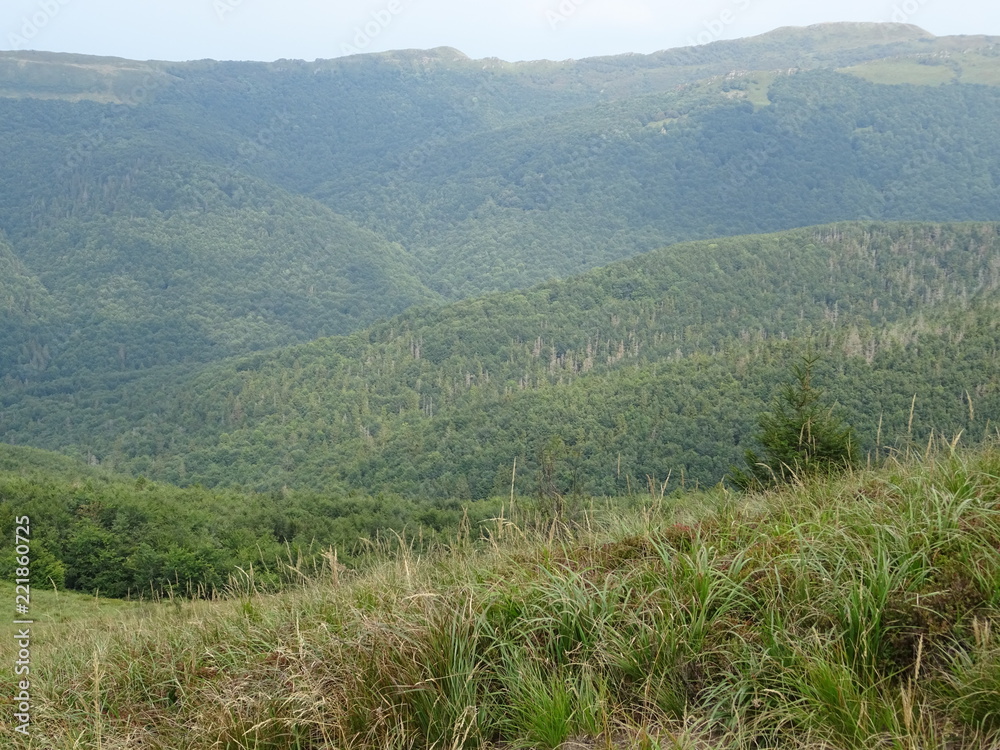 Fototapeta premium Bieszczady