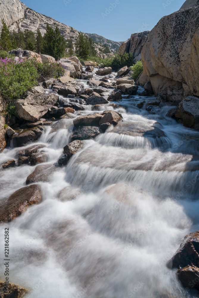 Flowing water and grass in the mountain backcountry of the Sierra Nevada in California Flowing water and grass in the mountain backcountry of the Sierra Nevada in California