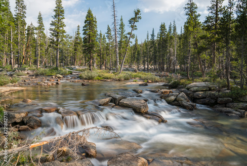 Flowing water and grass in the mountain backcountry of the Sierra Nevada in California