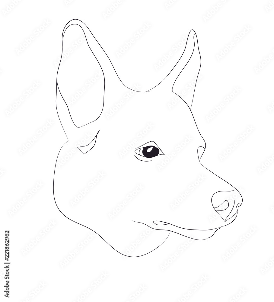 dog portrait, lines, vector dog portrait, lines, vector