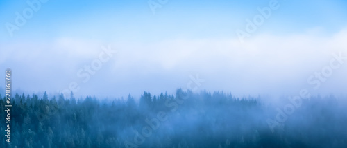 Foggy autumn forest view. Photo from Sotkamo, Finland.