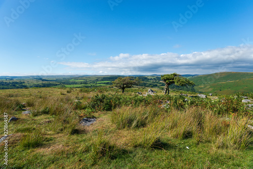 Coombestone in Devon photo