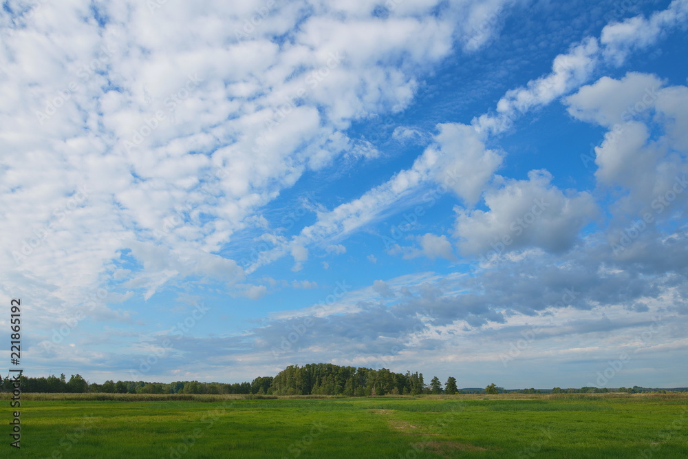 Landschaft in Brandenburg Landschaft in Brandenburg