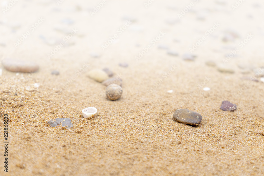 Sandy floor on the beach and shells and stones Sandy floor on the beach and shells and stones