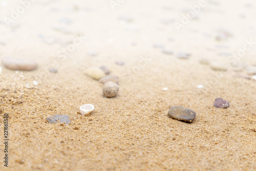 Sandy floor on the beach and shells and stones