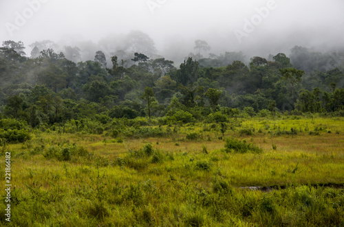 Pasture with mountains, fog in the jungle.