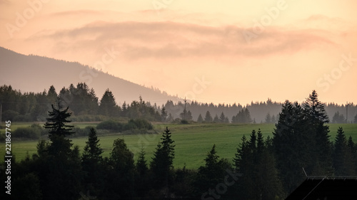 panoramic view of misty forest in western carpathian mountains. Tatra in foggy sunset