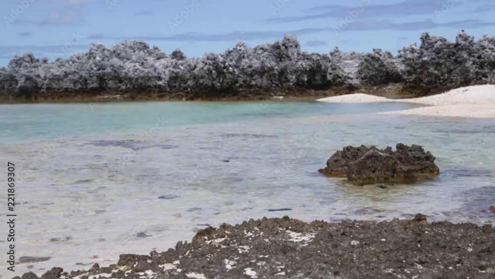 in polynesia the rocks of the coastline in polynesia the rocks of the coastline