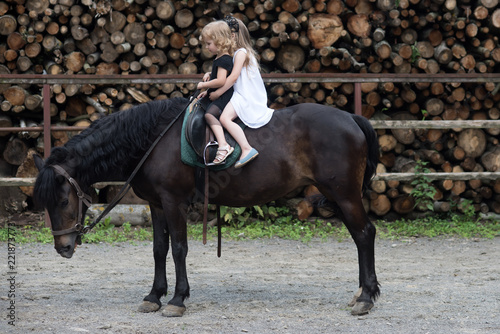 Children sit in rider saddle on animal back