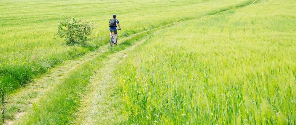 man riding bicycle by trail in green barley field. copy space man riding bicycle by trail in green barley field. copy space