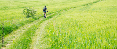 man riding bicycle by trail in green barley field. copy space