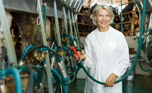 Woman milkmaid in bathrobe in barn working with cow milking machines