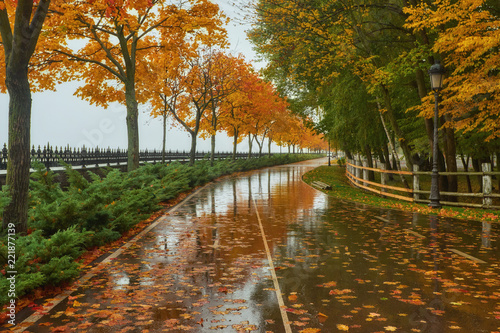 autumn park, rainy background, autumn landscape background rain texture in an October park