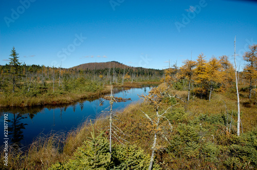 Adirondack Stream