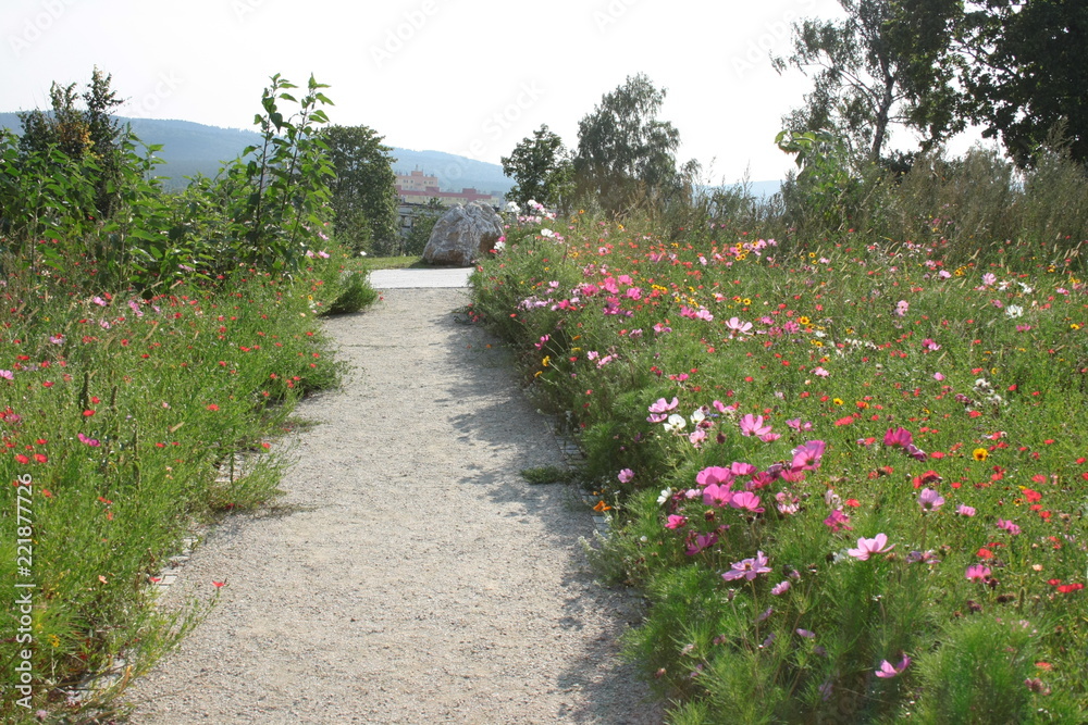 A pebble path through a floral meadow