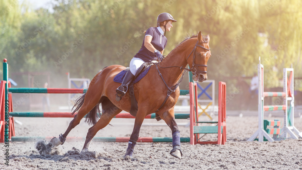 Young woman riding horse on her course in show jumping equestrian competition Young woman riding horse on her course in show jumping equestrian competition