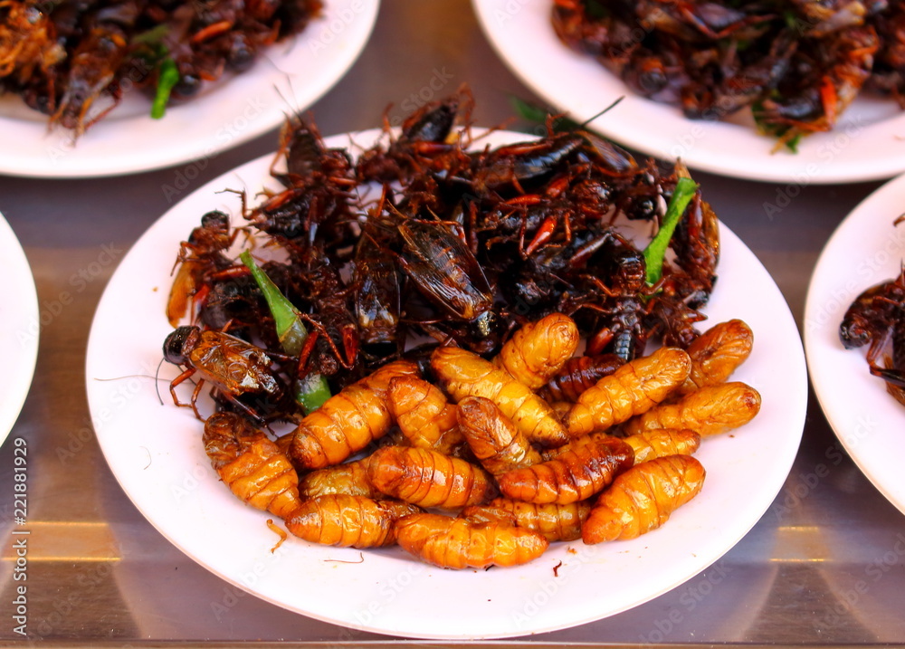 Fried crickets or cockroaches and insect larvae on the counter of a market trader. Traditional asian street cooking