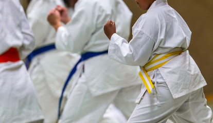 Ingelijste posters Vechtsport Shotokan karate kata houding  © RobertNyholm
