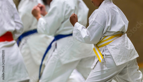 Karate Shotokan Kata