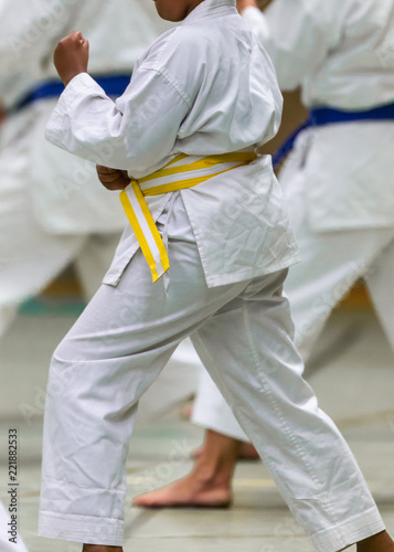 Karate Shotokan Kata