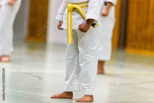 Karate Shotokan Kata photo