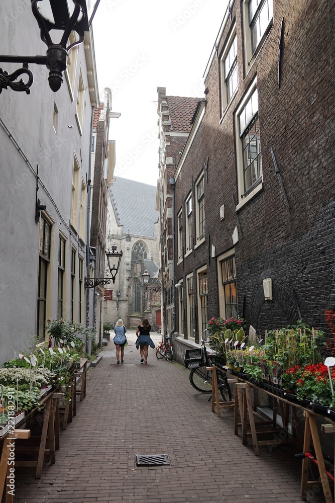 Obraz premium Blumenladen in Amsterdam