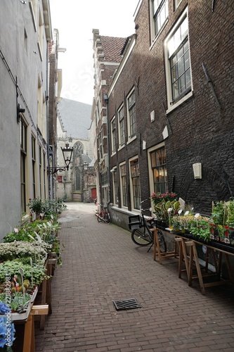 Fototapeta Naklejka Na Ścianę i Meble -  Strasse in Amsterdam im Sommer 