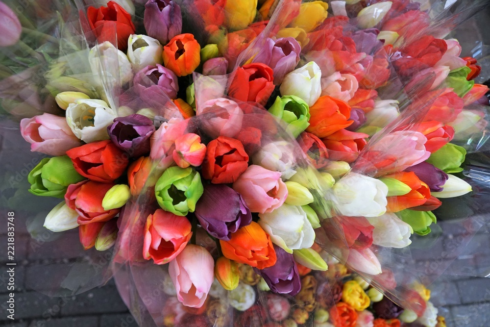 Tulpen Blumen Souveniers in amsterdam in Holland