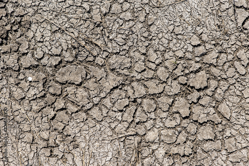 A lifeless land, craquelure A lifeless land, craquelure
