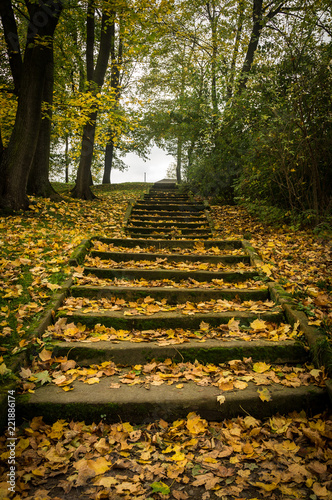 The old staircase leads up in the autumn park. Steps with autumn leaves. Autumn landscape