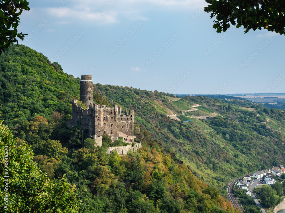 Castle Maus along the Rhine River in Germany