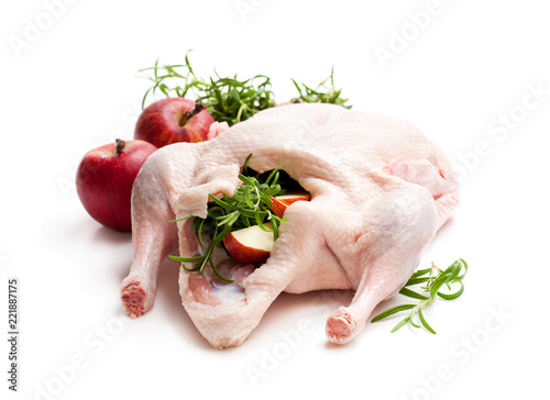 Raw whole duck stuffed with apple and rosemary isolated on white