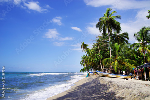 Wild caribbean beach landscape © Rechitan Sorin