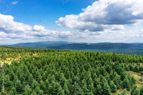 A picturesque view to the top of the mountain in the Czech Republic, a forest in the mountains, dry trees