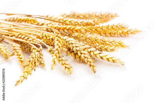 sheaf of ears of wheat isolated on white background