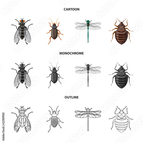 Vector design of insect and fly symbol. Collection of insect and element vector icon for stock. © Svitlana