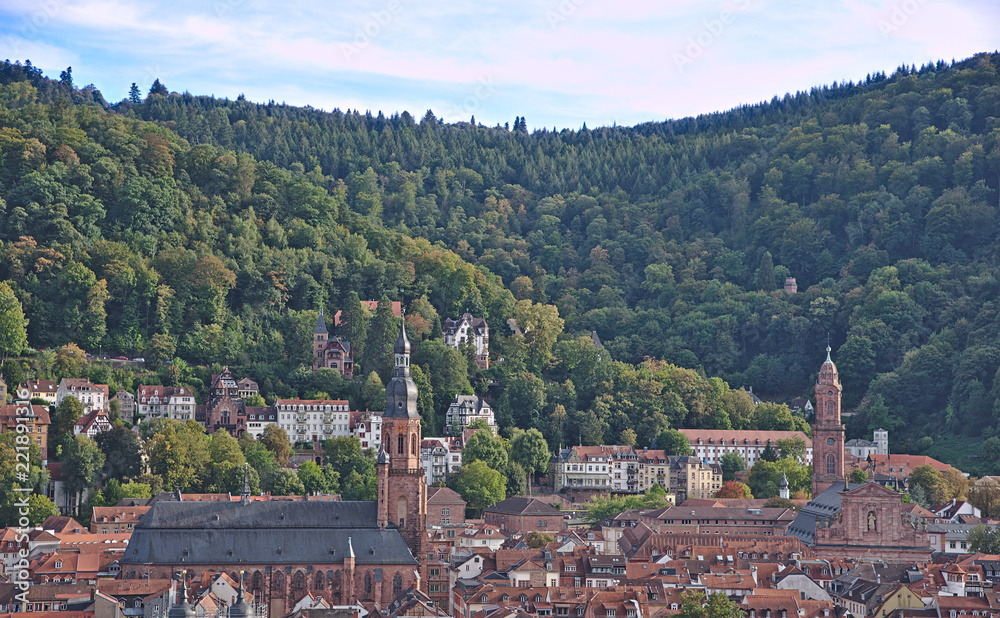 Kirchen in Heidelberg