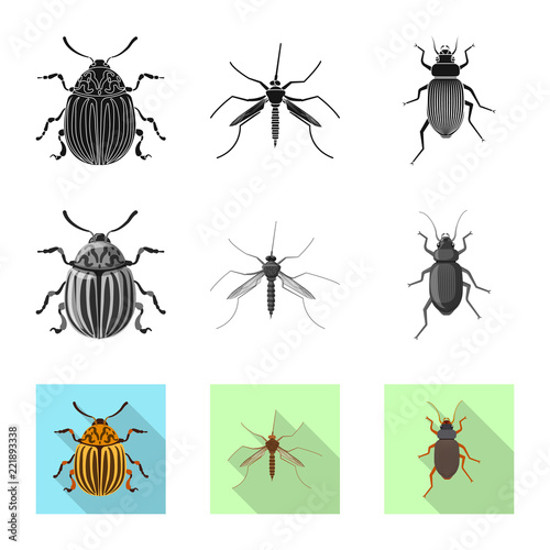 Isolated object of insect and fly icon. Set of insect and element vector icon for stock.